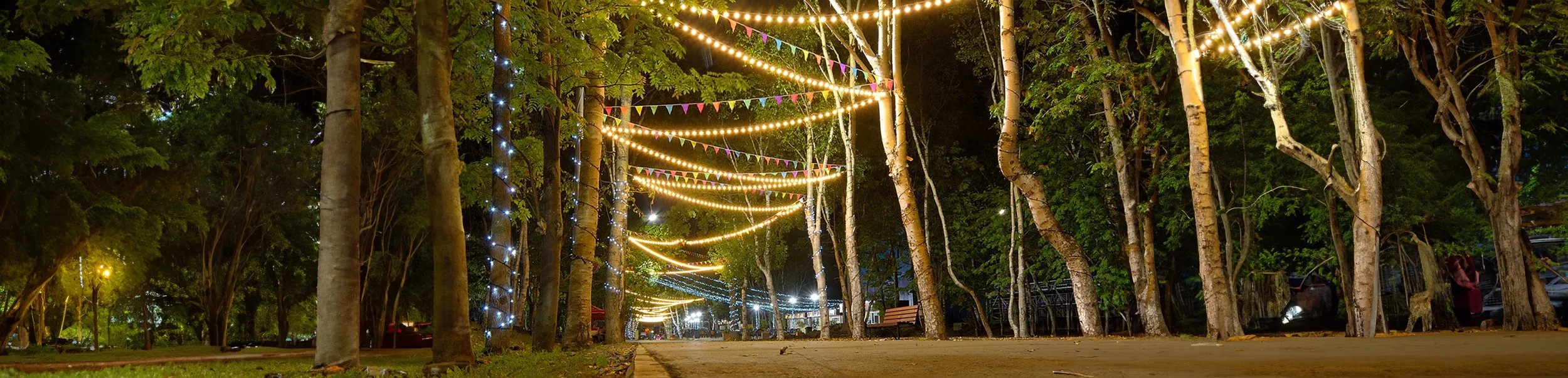 Festoon strings zigzagging through trees over a pathway at an outdoor event at night